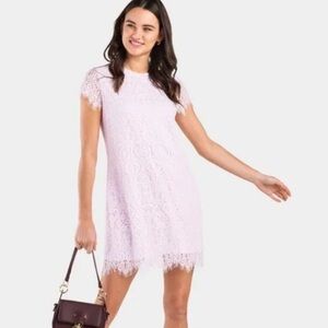 Francesca's Collections Pale Pink Lace Mini Dress